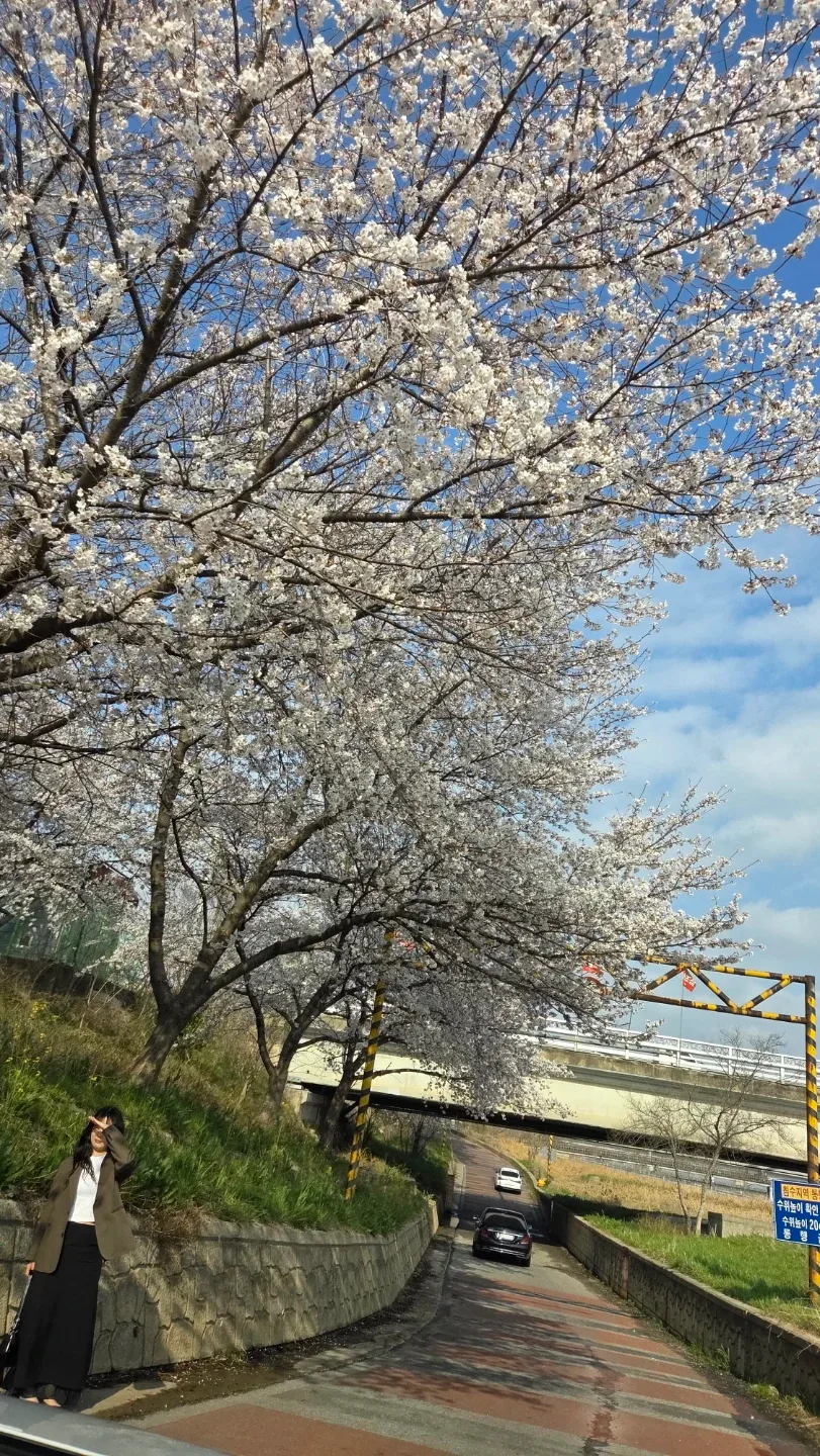 하늘