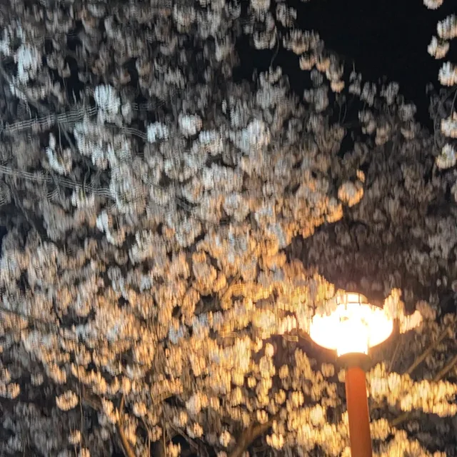 봄날