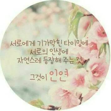 오드리햅번70여서초