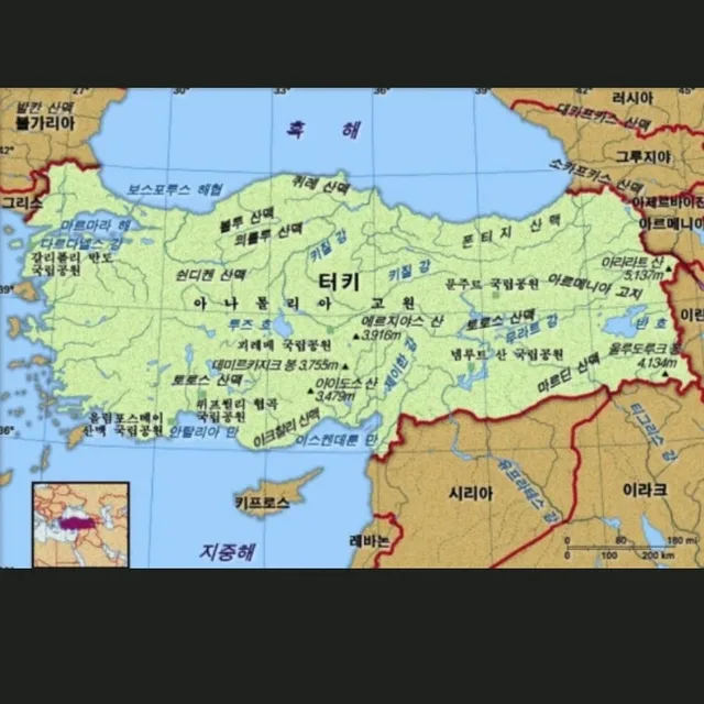 최유희