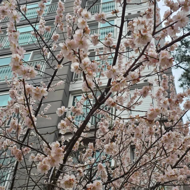 함께해요