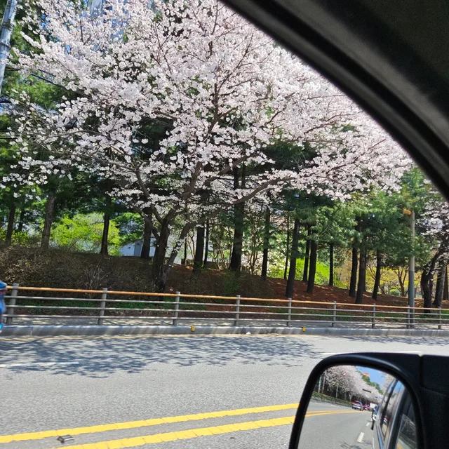 리라임