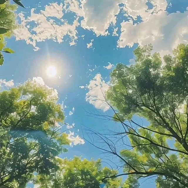 사계절방긋