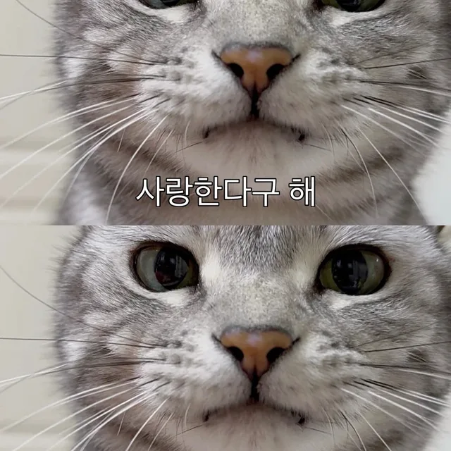 파이링