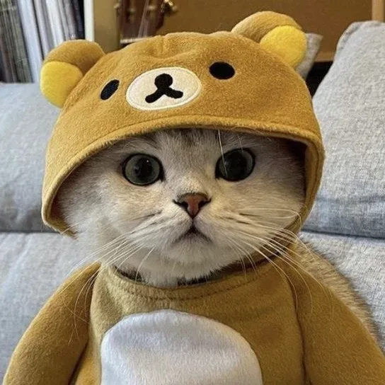 보리