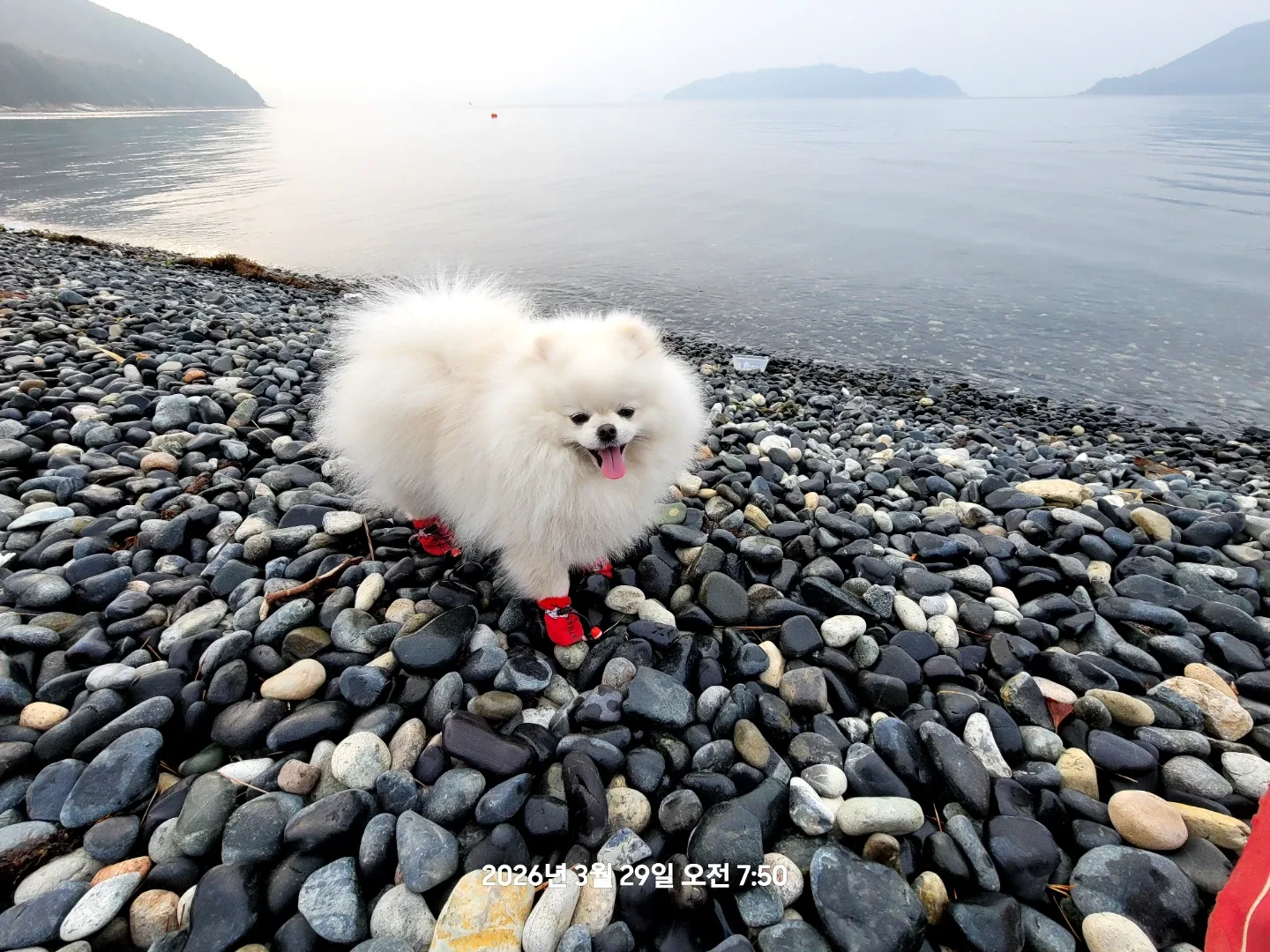 우주