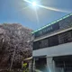 몽실몽실