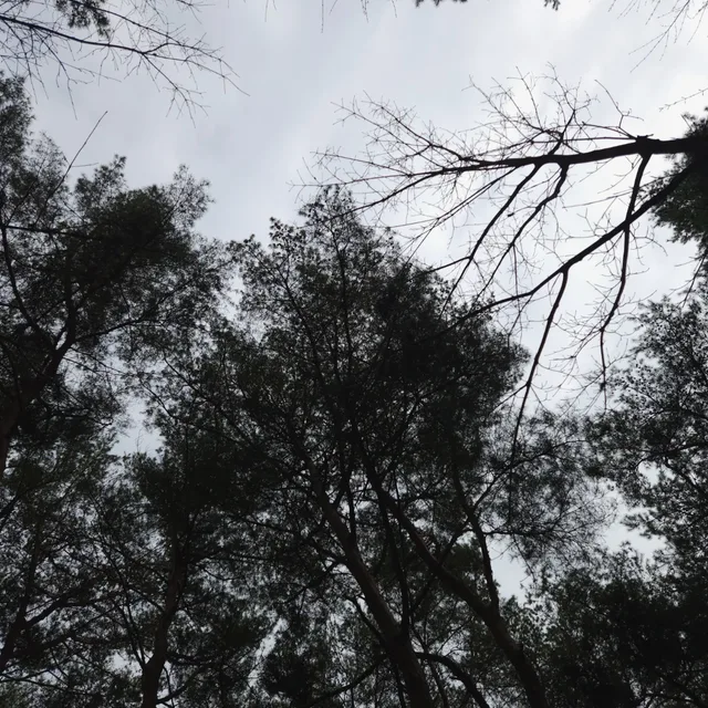 당근주세요