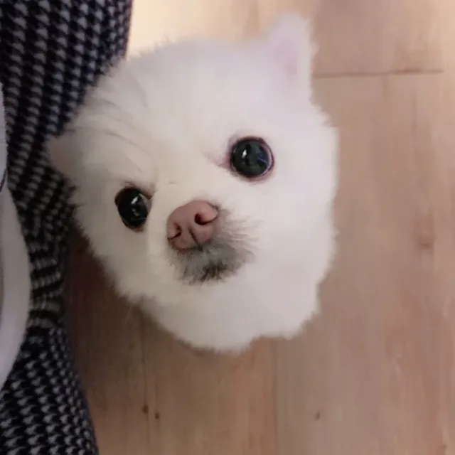 주안