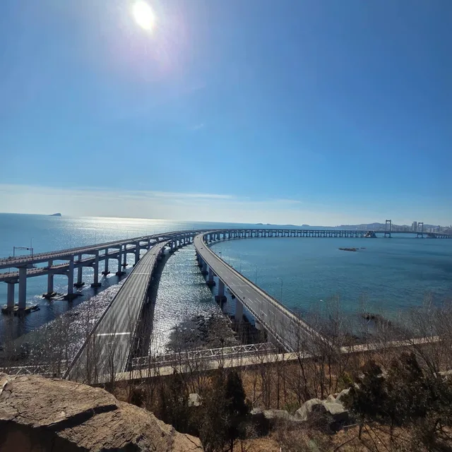 초심