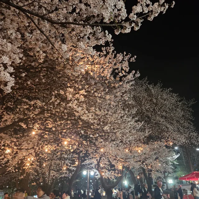 달달