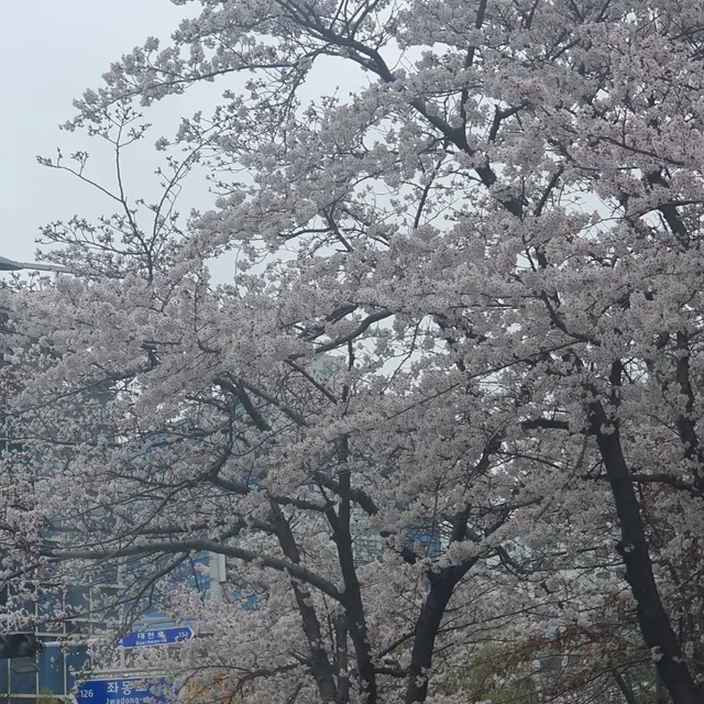 초긍정