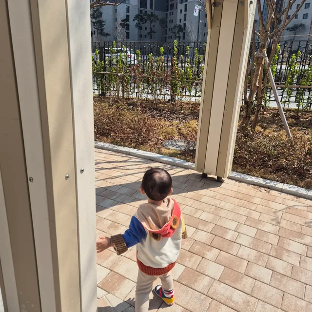 수송구구