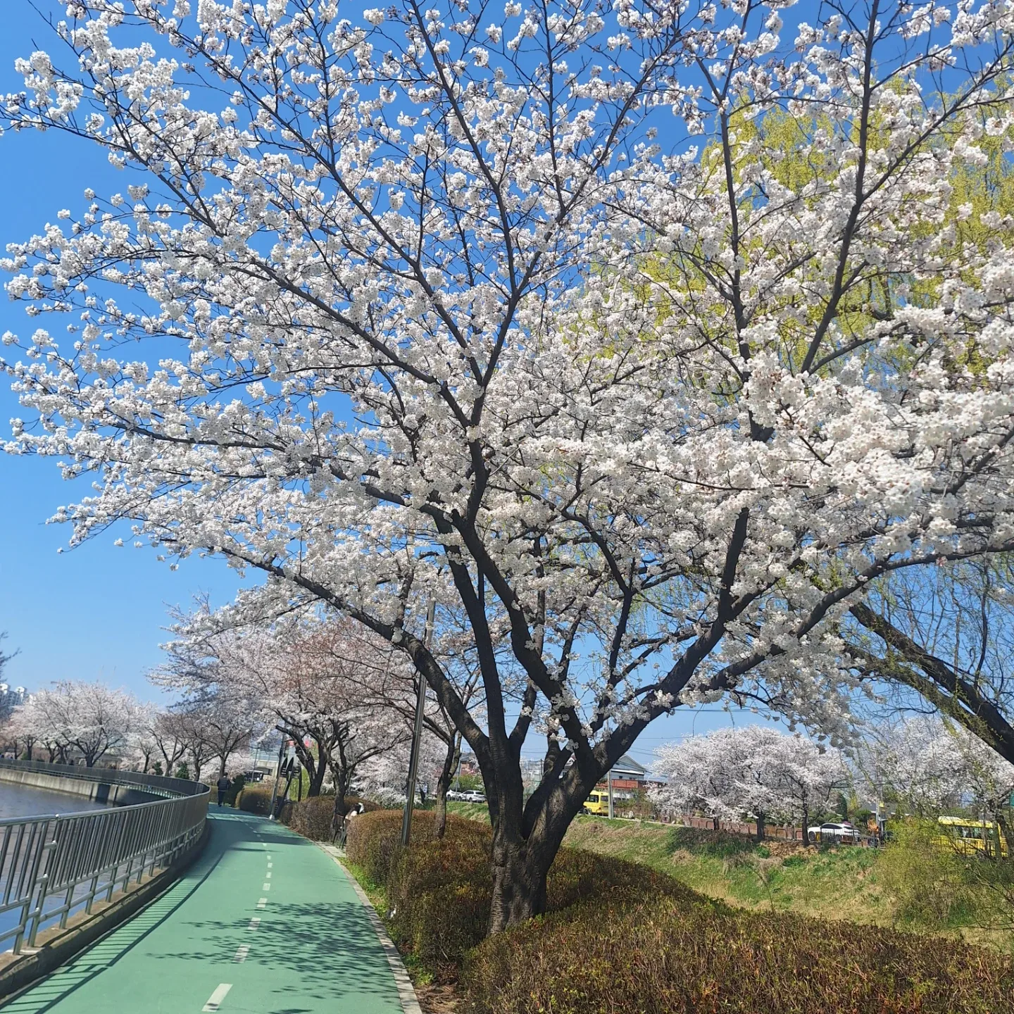 고은