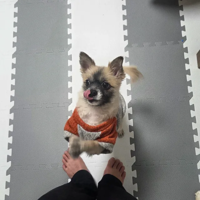 너는내세상이었어