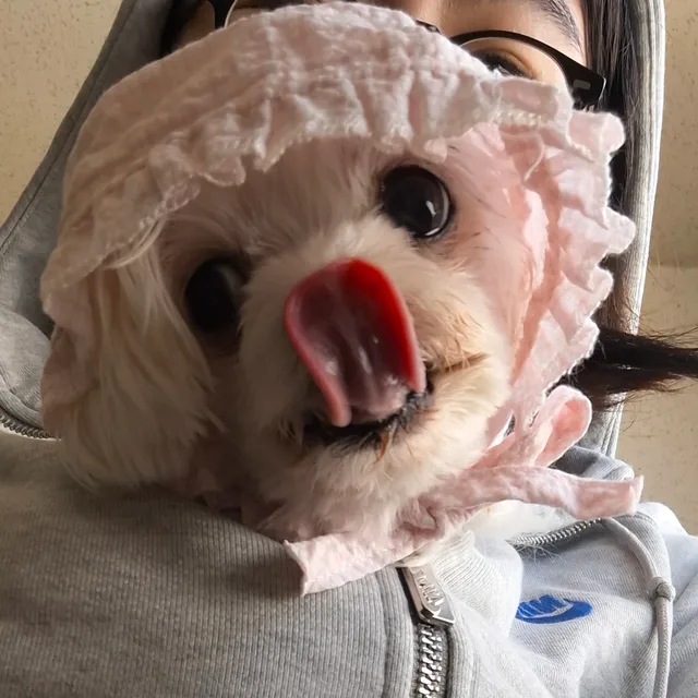 나나