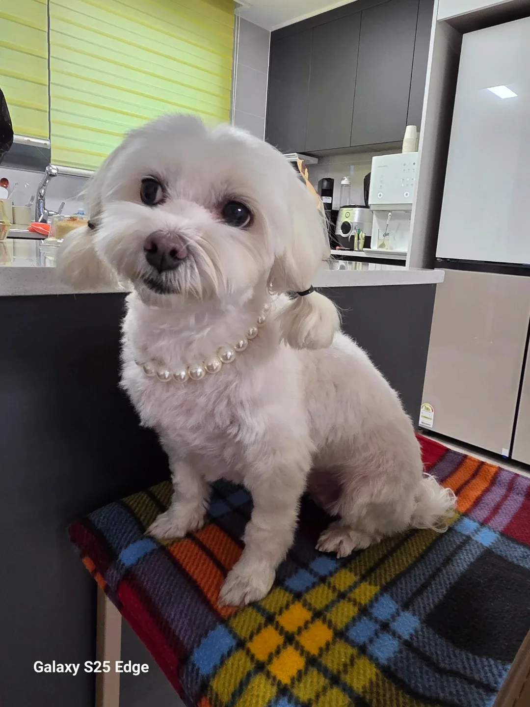 비쥬