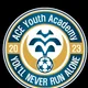 ACE축구아카데미
