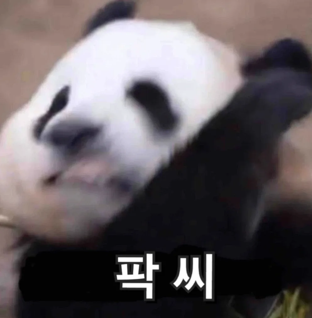 팍씨