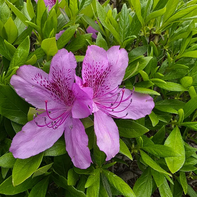수정