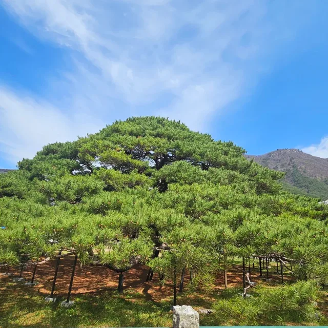 동동맘