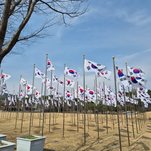 우리나라만세