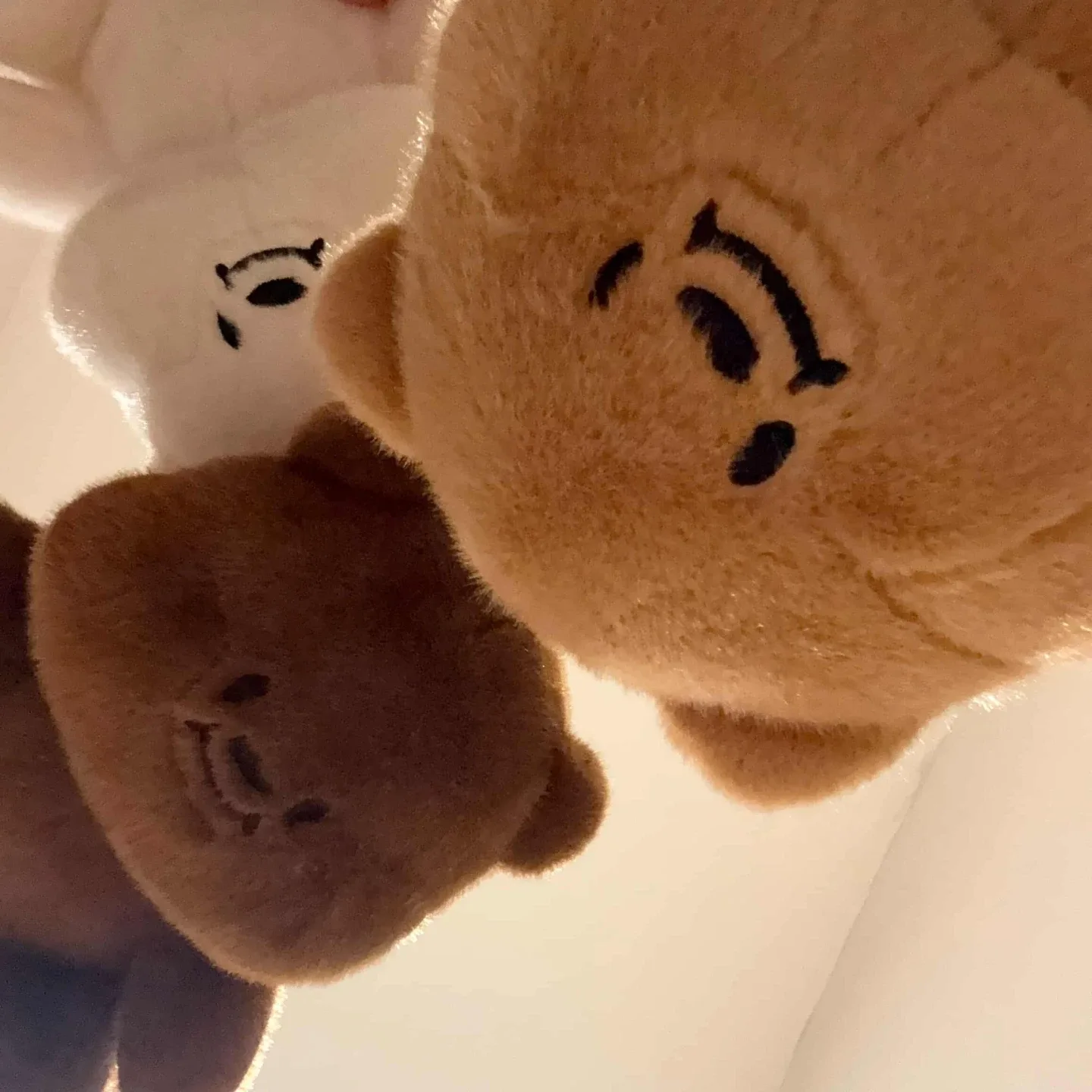 당근밭곰돌이