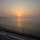 팽귄황제
