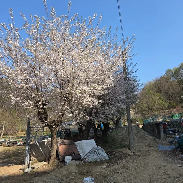 즐거운생활
