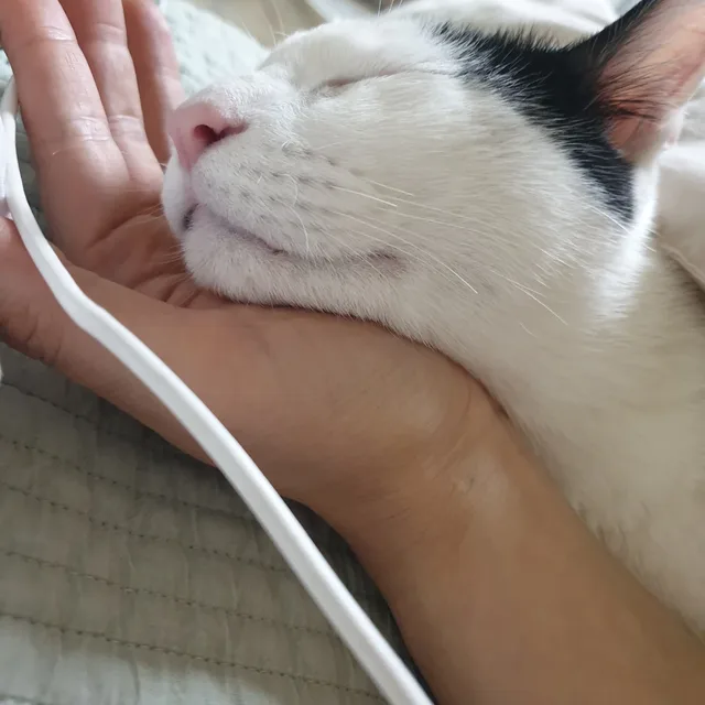 보물단지