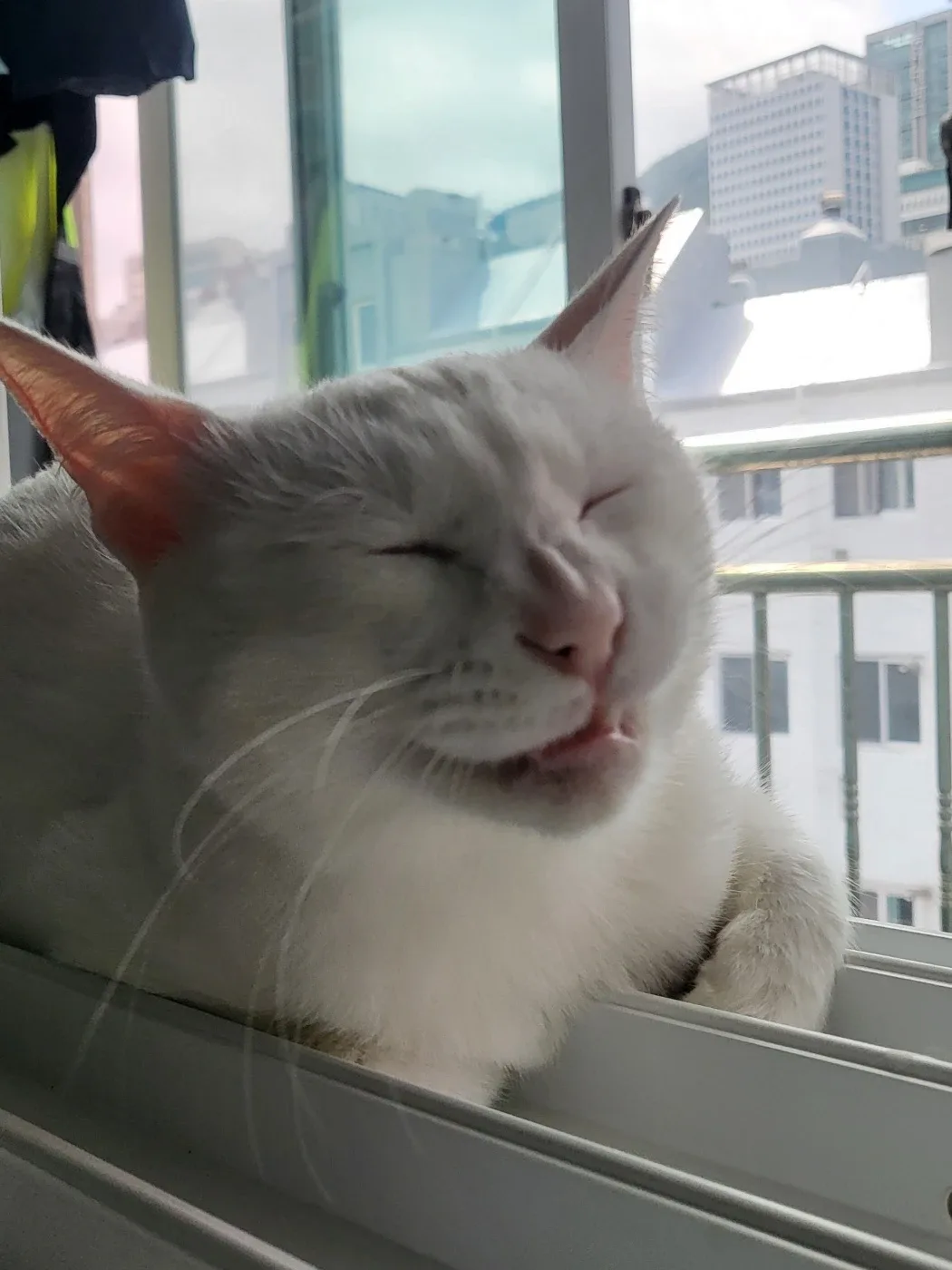 총총총