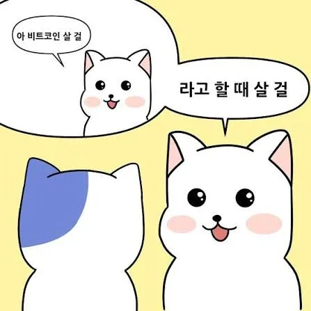 하이닉스살껄