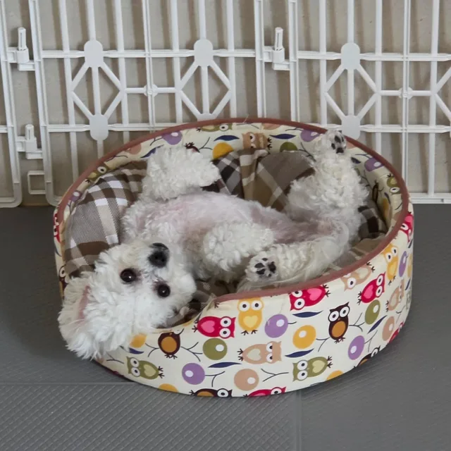 키루
