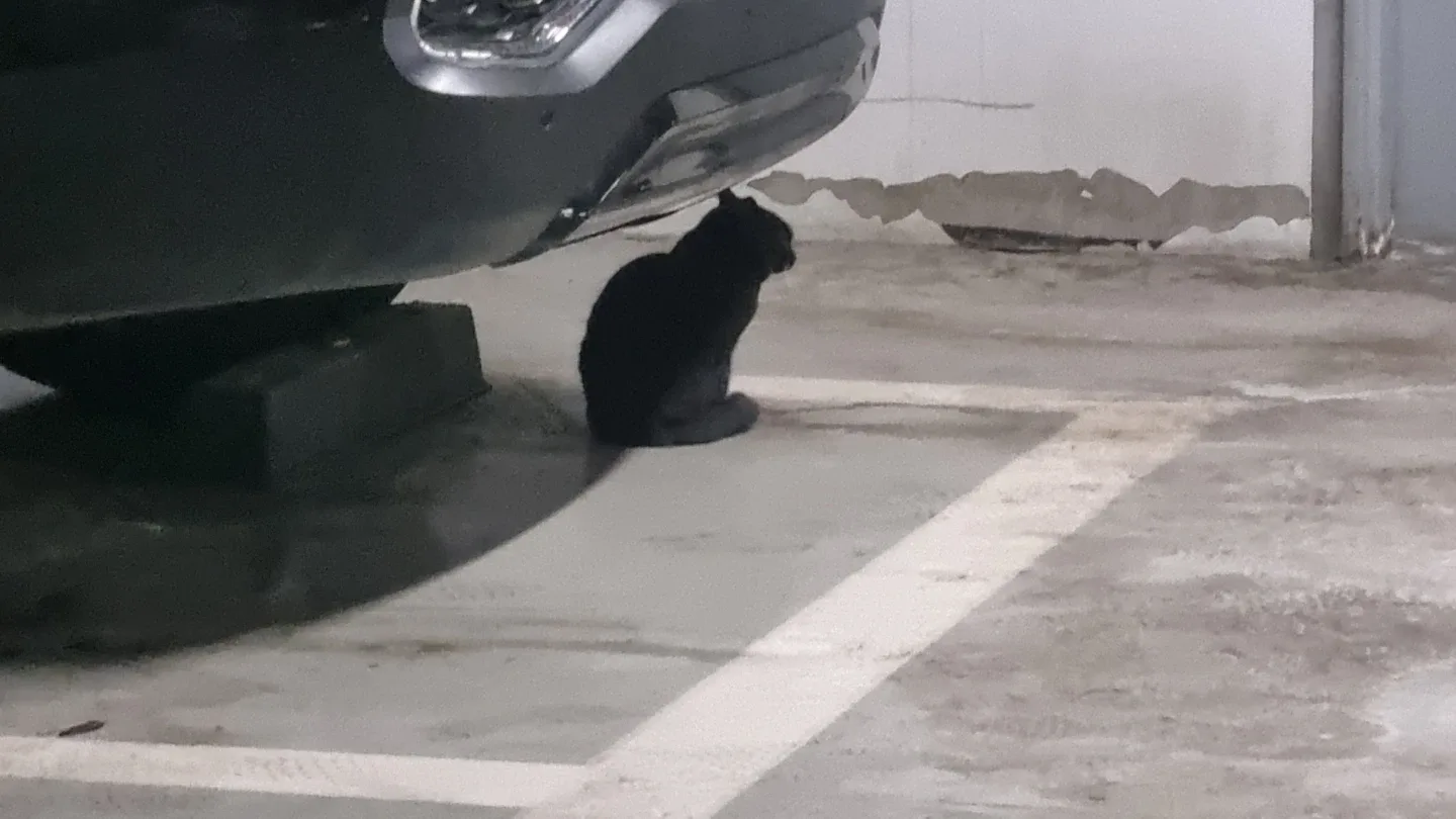 하나둘셋