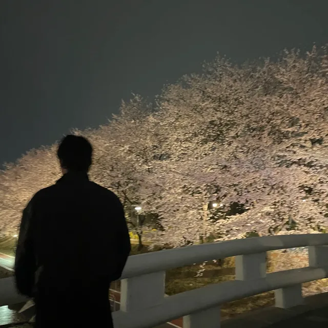 당근마스터