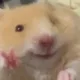사랑해요밀키스