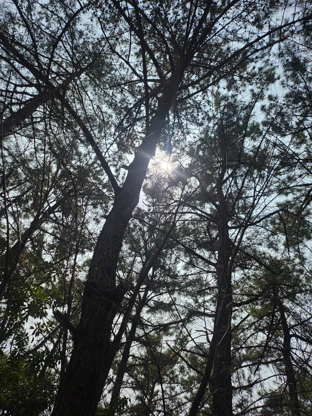 화이팅
