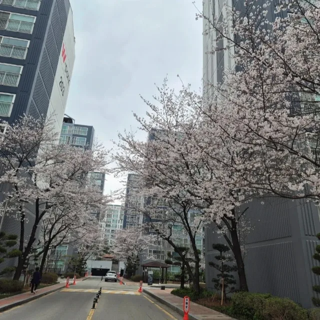 가을빛