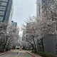 가을빛