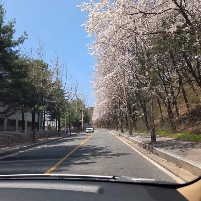 당근당근당근