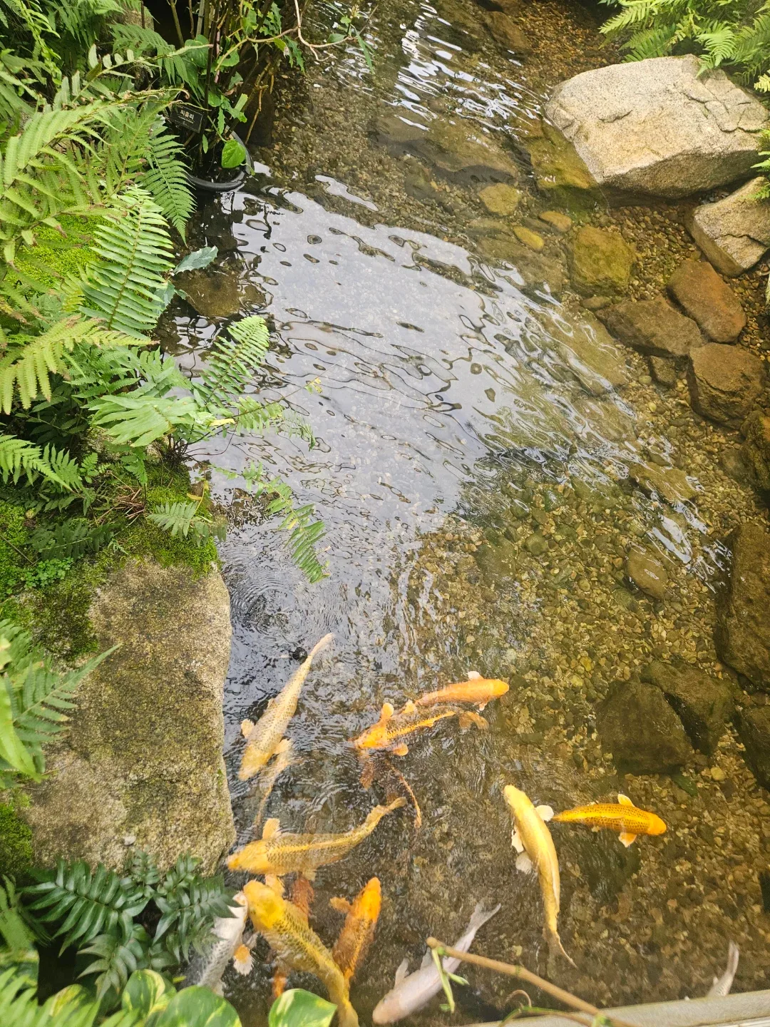 당근페이좋아요