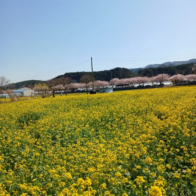빨리오세요