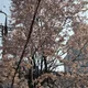 김첨지요
