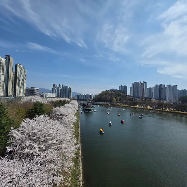 황금말