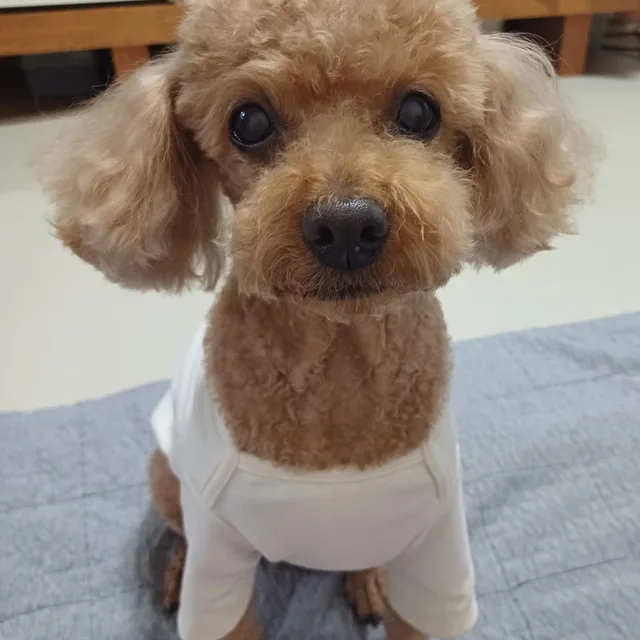 나름