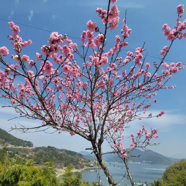 신의손