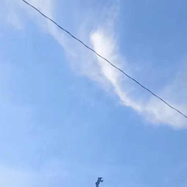 하늘