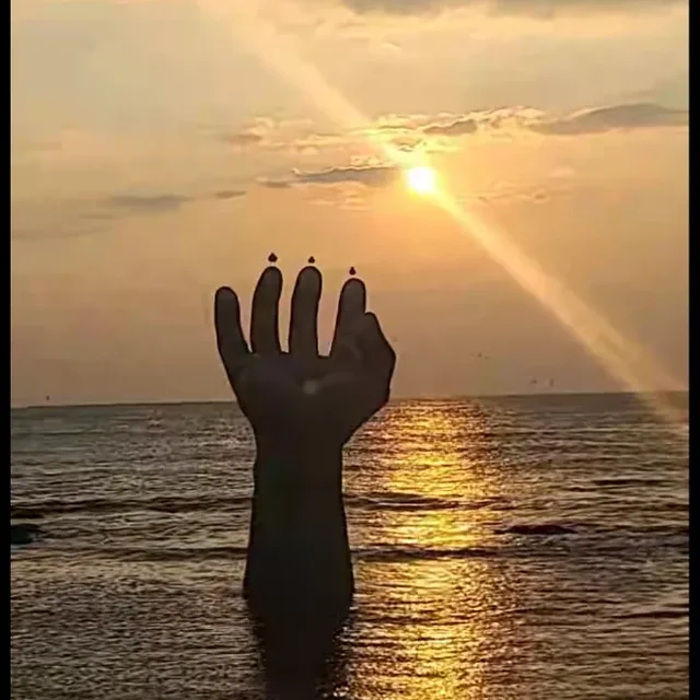 백곰이이모