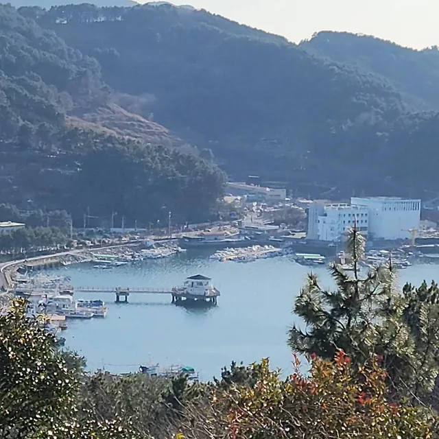 낚시초짜