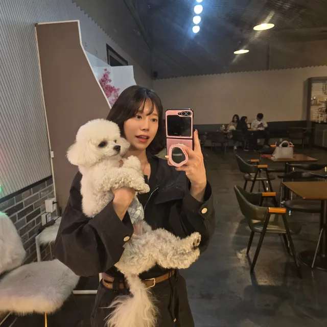 고구마루루